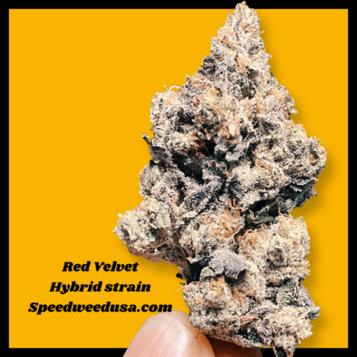 Red Velvet strain, red velvet hybrid strain, red velvet, Top shelf indoor,